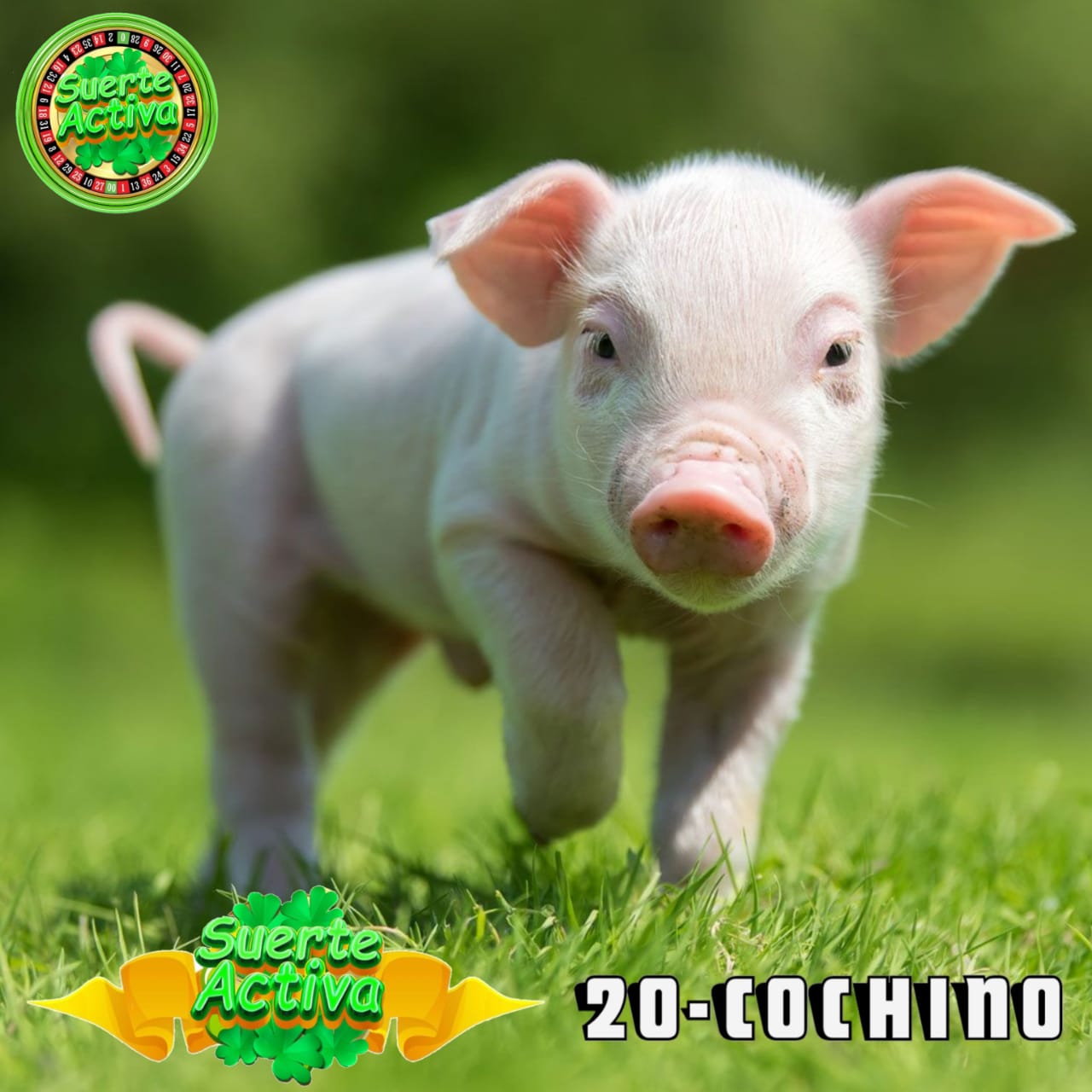 Resultado 2026-04-13 09:30:00