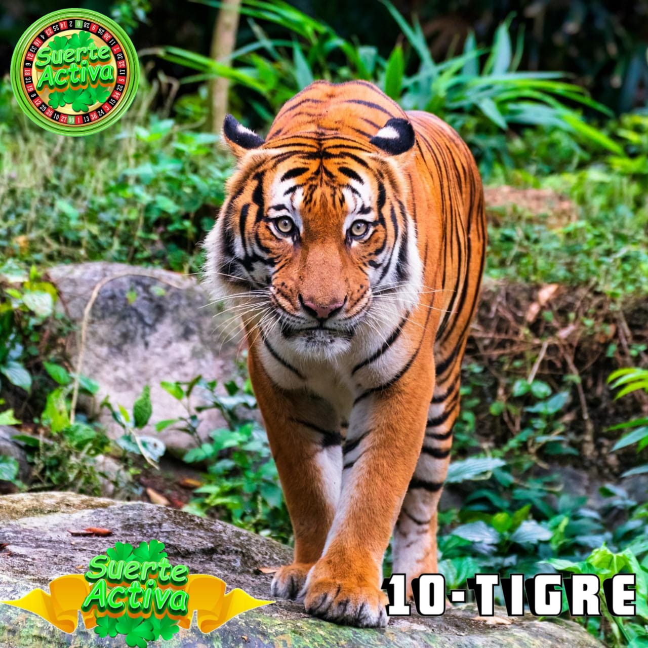 Resultado 2026-04-13 11:30:00