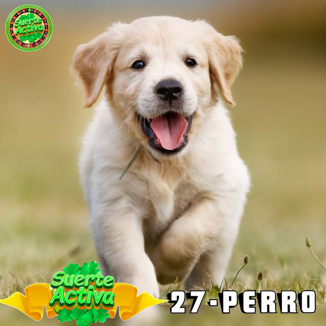 Resultado 2026-04-13 12:30:00