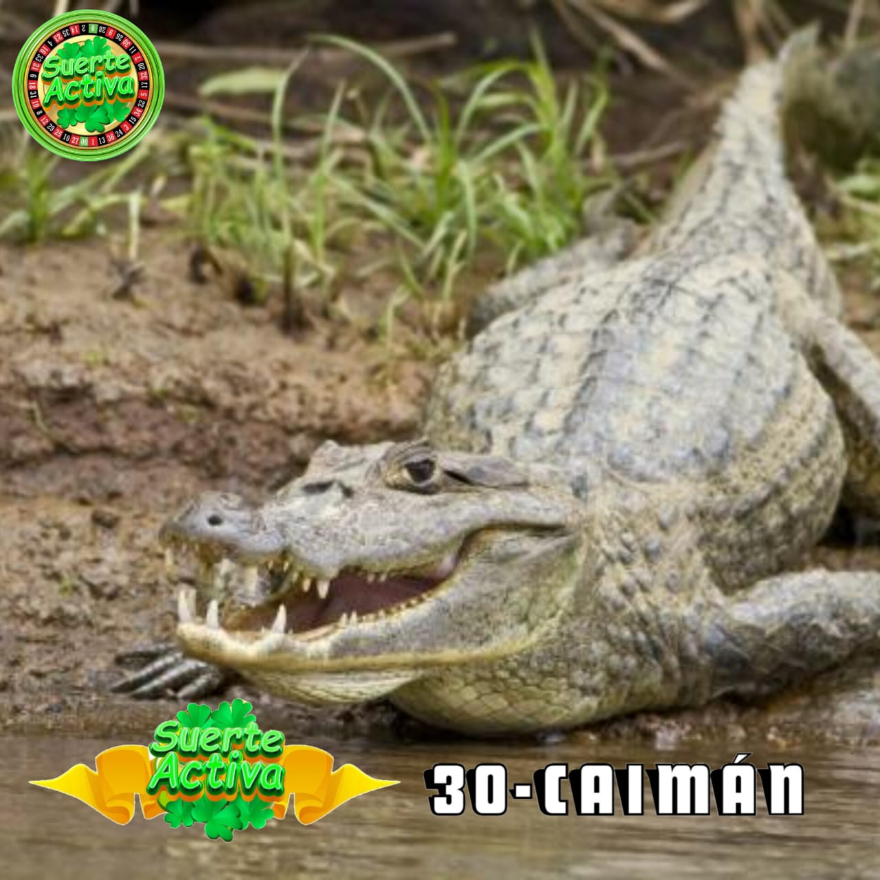 Resultado 2026-04-13 15:30:00