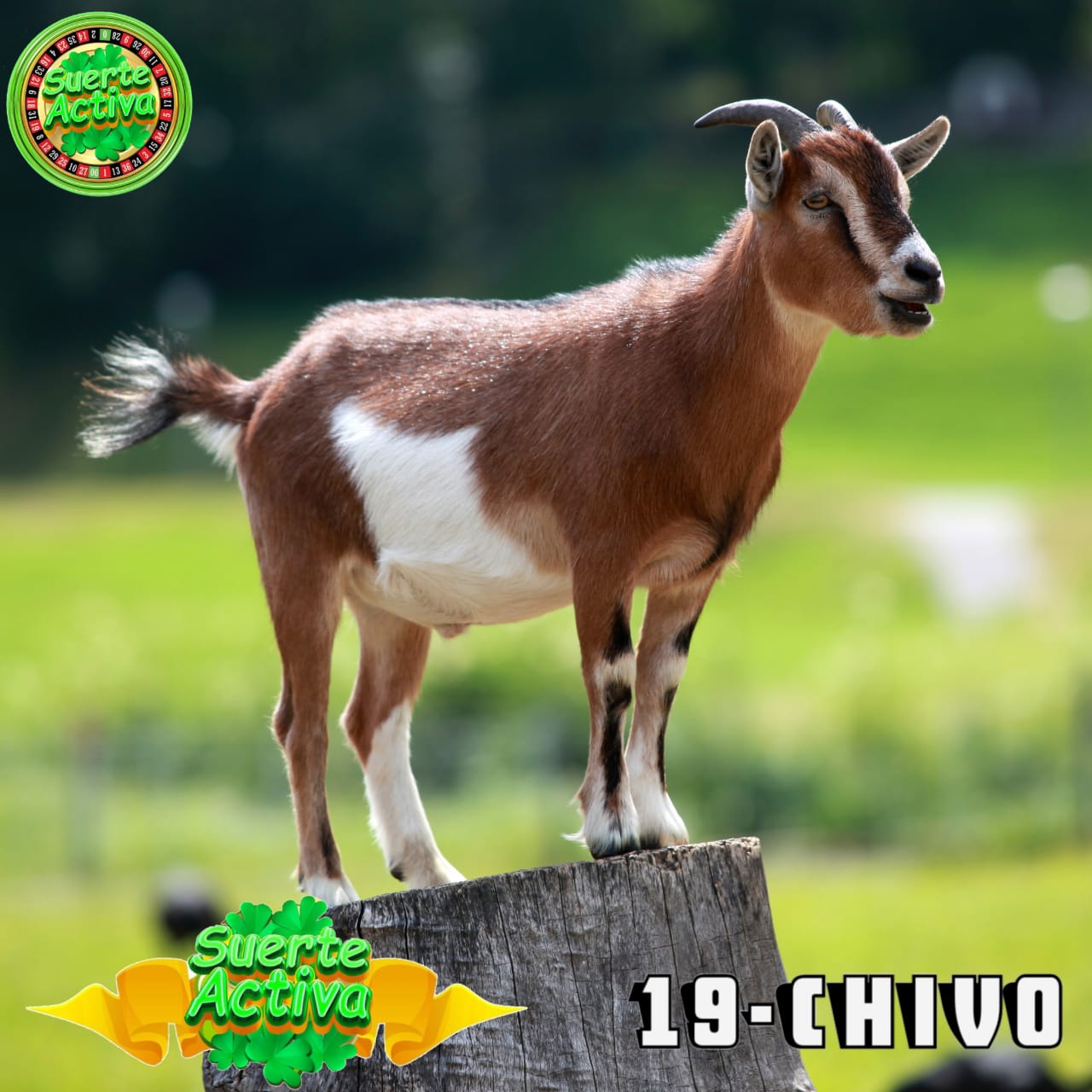 Resultado 2026-04-13 16:30:00