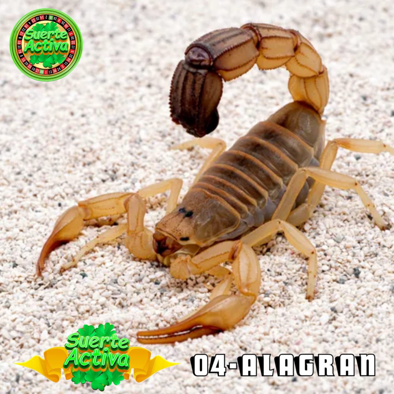 Resultado 2026-04-13 18:30:00