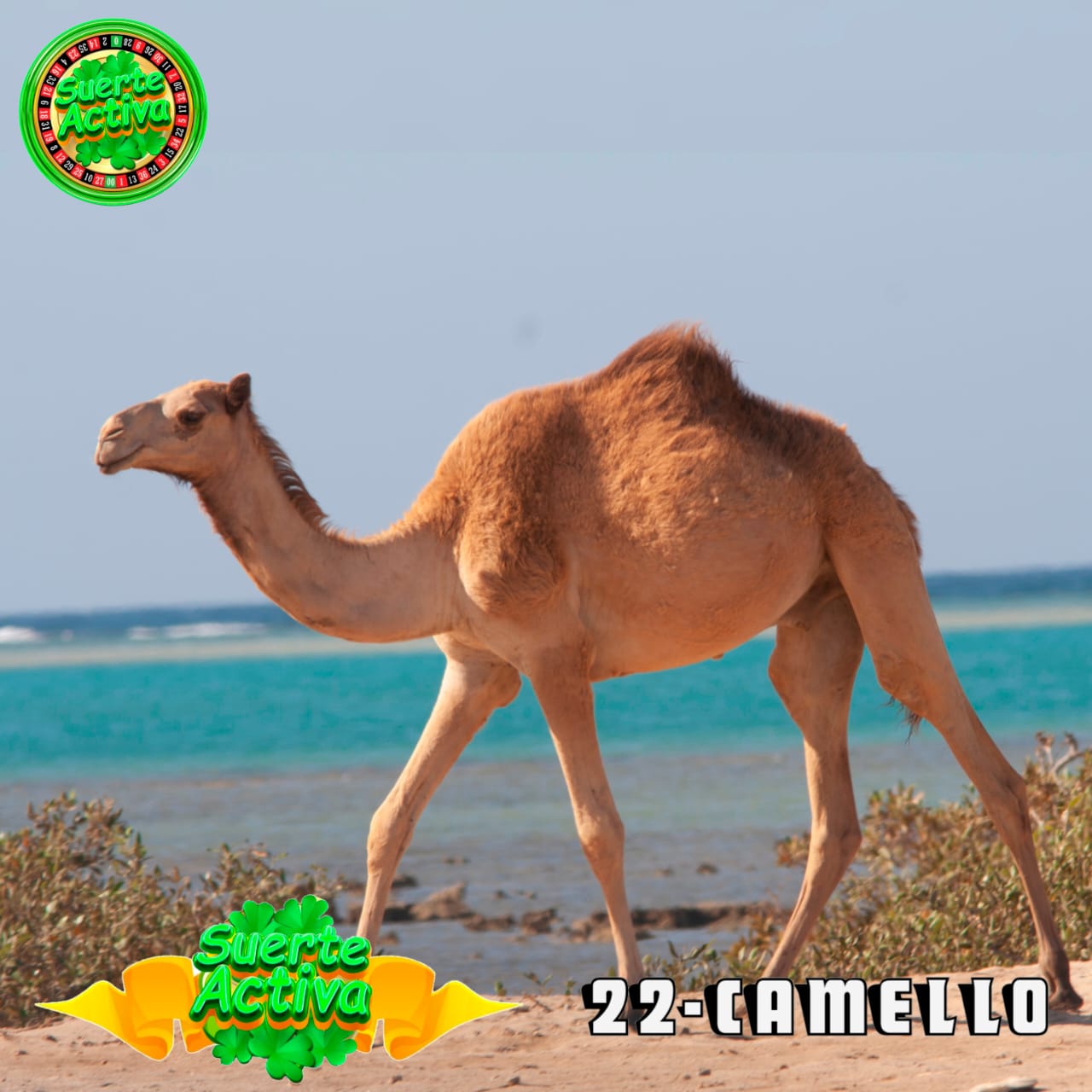 Resultado 2026-04-13 19:30:00