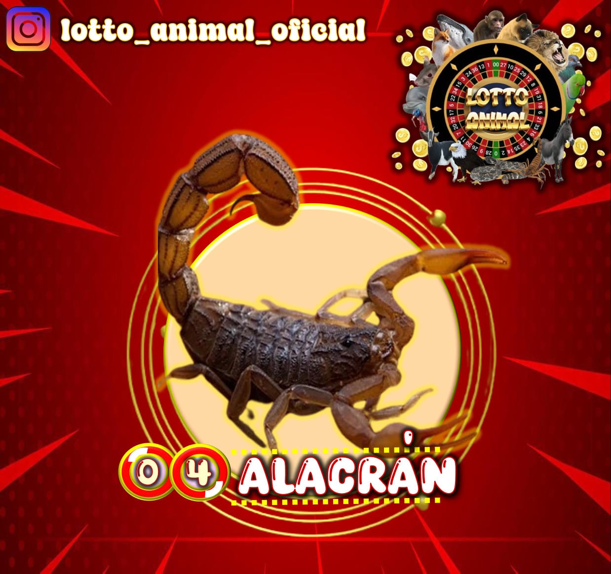 Resultado 2026-05-29 08:00:00