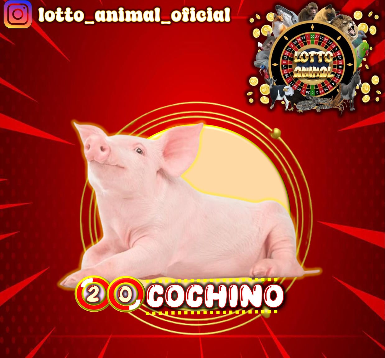 Resultado 2026-05-29 11:00:00