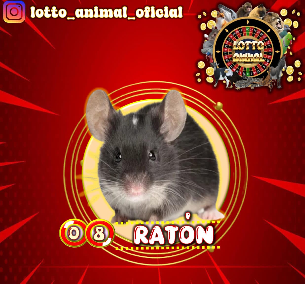 Resultado 2026-06-12 12:00:00