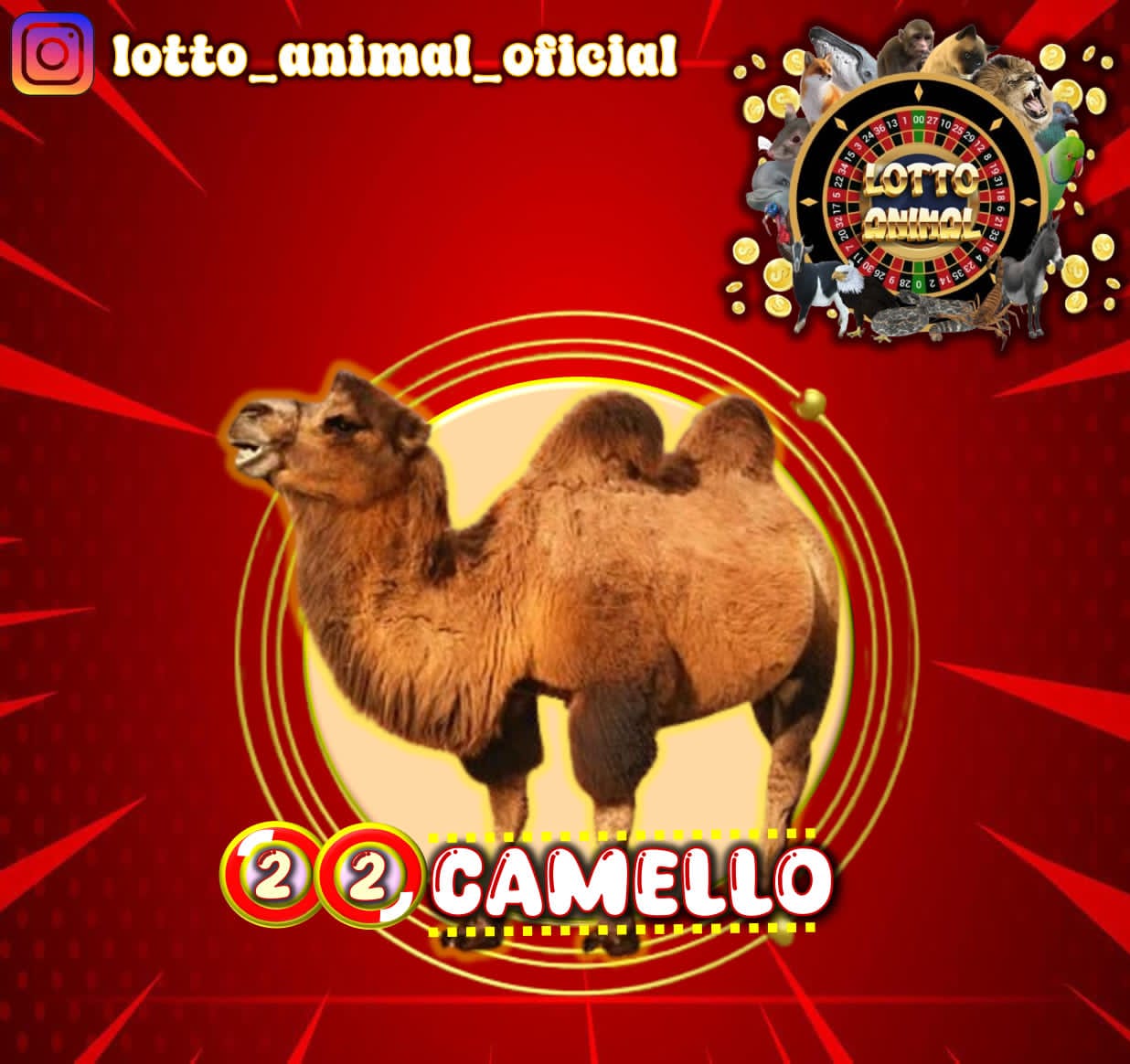 Resultado 2026-06-12 15:00:00