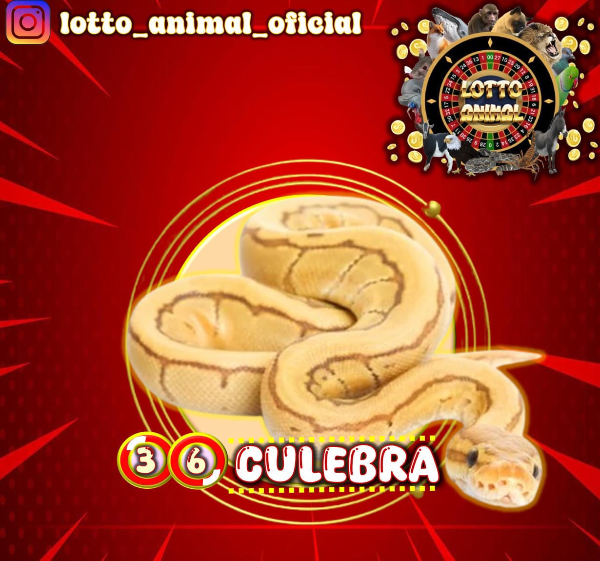 Resultado 2026-07-27 12:00:00
