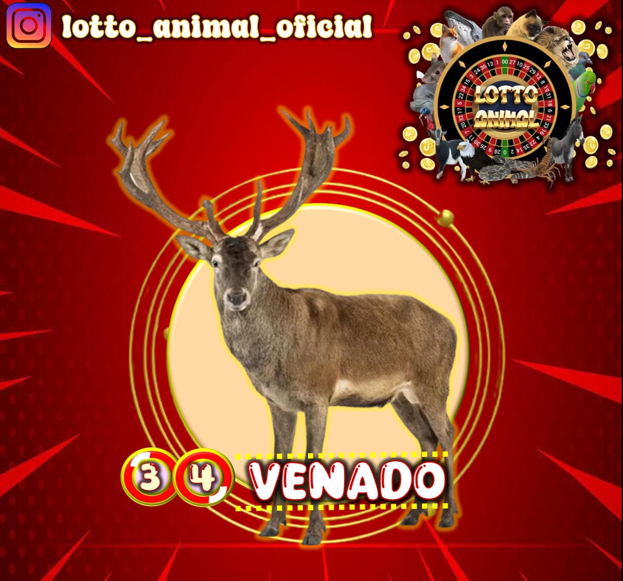Resultado 2026-07-27 17:00:00